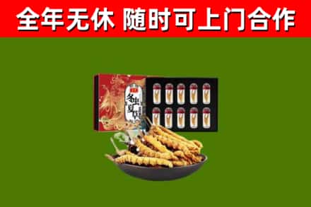 惠阳区回收冬虫夏草价格