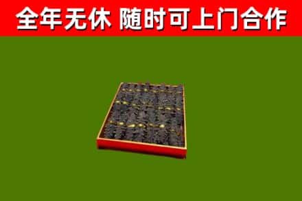 惠阳区回收海参